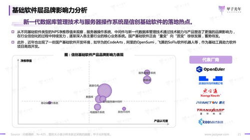 2023信創軟件品牌影響力研究報告 基礎軟件服務的格局重塑與未來展望