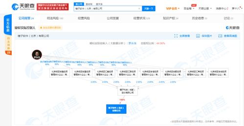 基礎軟件服務 數字時代的基石與驅動力